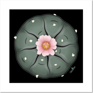 Lophophora Williamsii - The Peyote Posters and Art